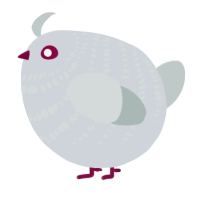 A mist and silver chicken with a bar pattern