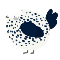 A white and tumblr chicken with a speckle pattern