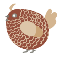 A russet and beige chicken with a lace pattern