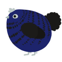 A navy and sable chicken with a bar pattern