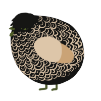 A black and beige chicken with a double-lace pattern