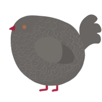 A grey chicken with a double-lace pattern