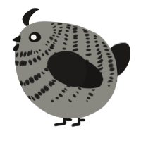 A ash and sable chicken with a bar pattern