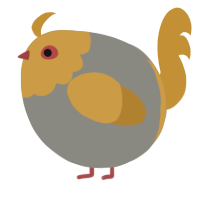 A ash and gold chicken with a head pattern