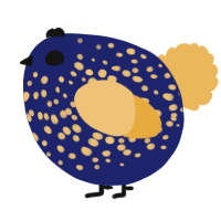 A navy and honey chicken with a speckle pattern