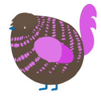 A bark and orchid chicken with a bar pattern