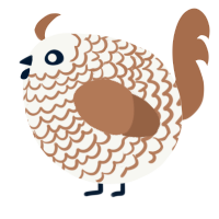 A white and brown chicken with a lace pattern