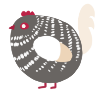 A grey and cream chicken with a bar pattern