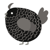 A black and grey chicken with a lace pattern