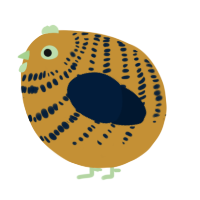 A gold and tumblr chicken with a bar pattern