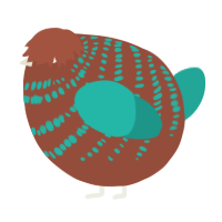 A russet and turquoise chicken with a bar pattern