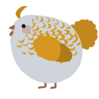 A mist and ochre chicken with a half-lace pattern