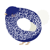 A navy and white chicken with a double-lace pattern