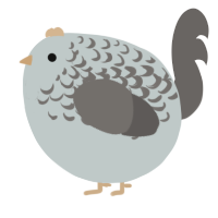 A silver and grey chicken with a half-lace pattern