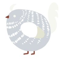 A mist and white chicken with a bar pattern