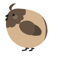 A beige and bark chicken with a head pattern