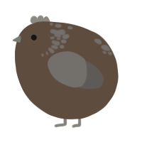 A bark and grey chicken with a neck-speckle pattern