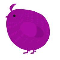 A plum chicken with a bar pattern
