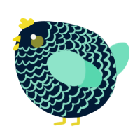 A tumblr and mint chicken with a lace pattern
