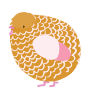 A orange and rose chicken with a lace pattern