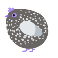 A grey and mist chicken with a speckle pattern