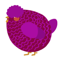 A maroon and plum chicken with a lace pattern