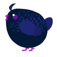 A tumblr and navy chicken with a half-lace pattern