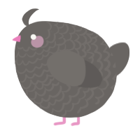 A grey chicken with a lace pattern
