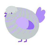 A silver and lilac chicken with a bar pattern