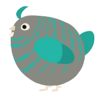 A ash and turquoise chicken with a bar pattern