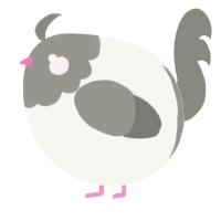 A white and ash chicken with a head pattern