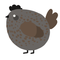 A grey and bark chicken with a speckle pattern