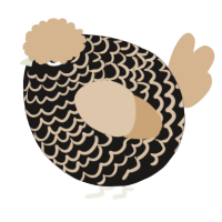 A sable and beige chicken with a lace pattern