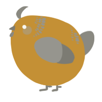 A gold and ash chicken with a neck-band pattern