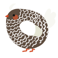 A bark and white chicken with a lace pattern