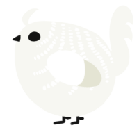 A white chicken with a half-bar pattern