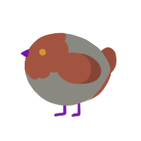 A ash and russet chicken with a head pattern