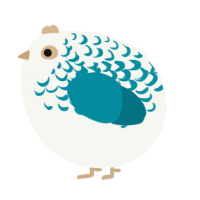 A white and sea chicken with a half-lace pattern