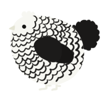 A white and sable chicken with a lace pattern
