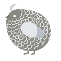 A ash and mist chicken with a lace pattern
