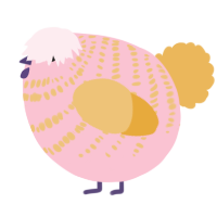 A rose and honey chicken with a bar pattern