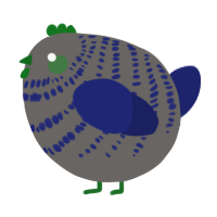 A grey and navy chicken with a bar pattern