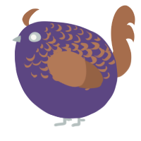A overcast and brown chicken with a half-lace pattern
