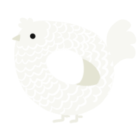A white chicken with a lace pattern