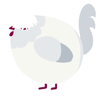 A white and mist chicken with a head pattern