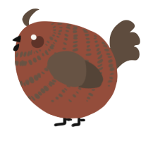 A russet and bark chicken with a bar pattern