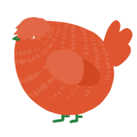 A vermilion chicken with a bar pattern