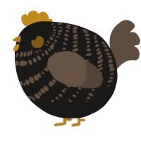 A sable and bark chicken with a bar pattern