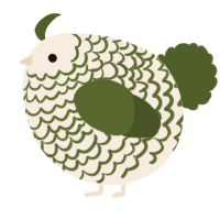 A cream and olive chicken with a lace pattern