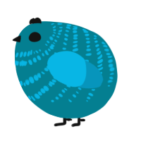 A sea and cerulean chicken with a bar pattern